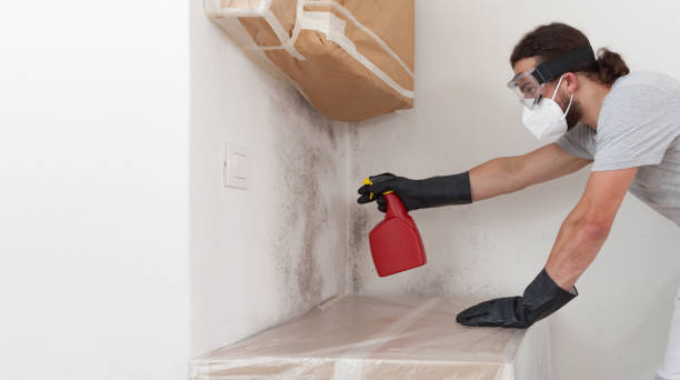 Professional Bathroom Mold Removal technician working in Lothian, MD